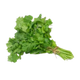 Fresh Cilantro Bunch 1 ct – Aromatic Herb for Cooking & Garnishing