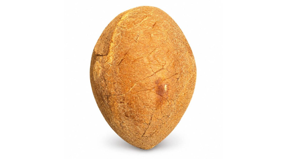 Puja Coconut (Nariyal) – 1 Each
