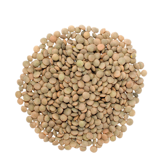 Santosh Masoor Brown Small 2lb