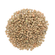 Santosh Masoor Brown Small 4lb